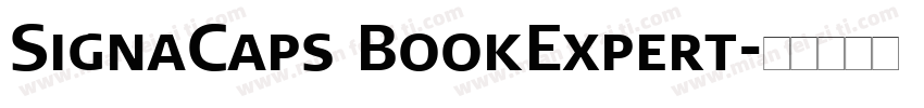 SignaCaps BookExpert字体转换